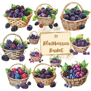 Brombeere Korb Clipart, Brombeere Korb Obst Clipart, süße Brombeere Geburtstag Baby Shower Party Grafiken, Kinderzimmer Dekor Wandkunst