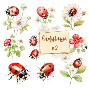 Clipart coccinelle, clipart insecte floral mignon coccinelle, baby shower anniversaire chambre d'enfant fête graphiques PNG, pour t shirt tasses cartes cadeaux tags