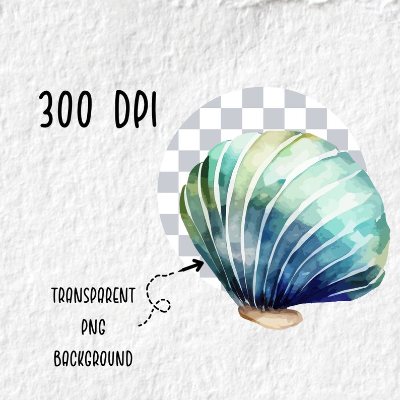 Seashell Watercolor Clipart Cute Shell Sea Life Animal - Etsy