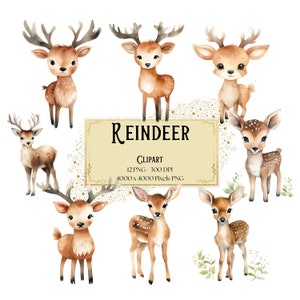Rentier Clipart, Aquarell Clipart Rentier, Waldtiere Clipart, Waldwaldtiere Png, Babyparty-Geburtstagsfeier Grafiken