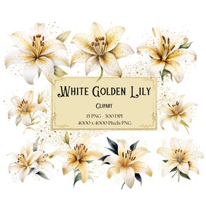 Lírio Branco Dourado Clipart, Lírio Branco Dourado Flores Clipart, Lírio Branco Dia Dos Namorados Casamento PNG, Chá De Panela Lírio Branco PNG Clipart