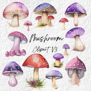 Champignon champignon vénéneux forêt Clipart, mignon forêt Nature champignons champignons Clipart, baby shower anniversaire fête graphiques, champignons botaniques Art PNG