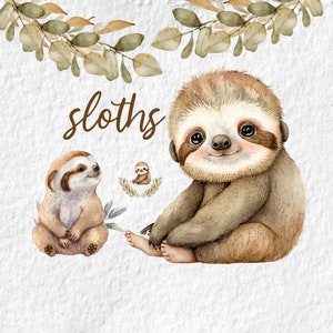 Sloth Watercolor Clipart, Cute Sloth Animal Baby Shower Graphics, Birthday Party Nursery Decor Wall Art, Animal Woodland PNG