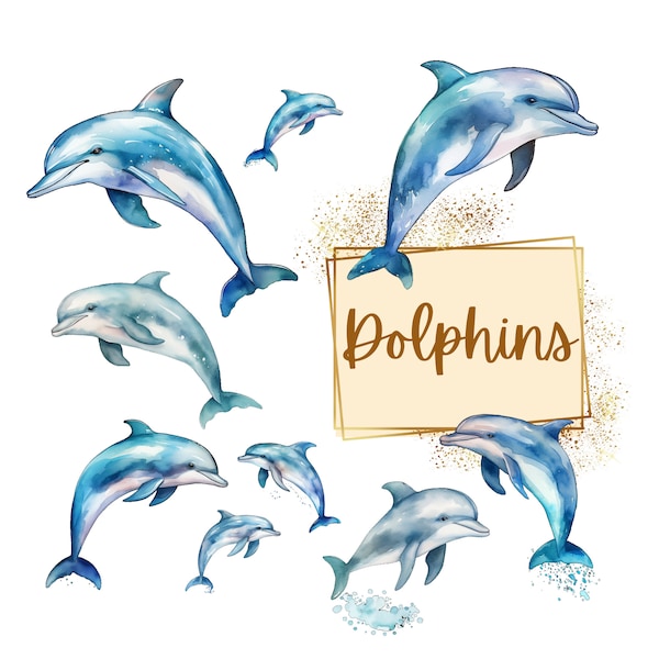 Dolphin Clipart, Dolphin Graphics Sea Life PNG, Underwater Ocean Life Png, Sea Creatures PNG, Birthday Baby Shower PNG, For T Shirt Mug Card