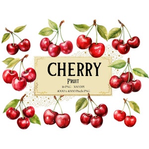 Cereza fruta png clipart, cerezas rojas fruta clipart, acuarela cereza fruta cumpleaños bebé ducha fiesta gráficos, decoración de la guardería png