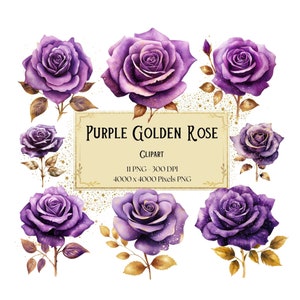 Purple Golden Rose Clipart, Golden Purple Rose Flowers Clipart, Purple Roses Valentines Wedding PNG, Bridal Shower Purple Roses PNG Clipart
