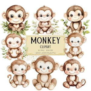 Clipart małpy, Małpa Png, Dziecko Małpa Safari Animal Clipart, Dzikie Zwierzę Sublimacja Żłobek Png, Baby Shower Urodziny Clipart