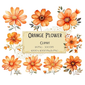 Orange Flower Png Clipart, Spring Orange Floral Clipart, Botanical Orange Flowers Valentines Wedding PNG, Orange Flower Bridal Bride PNG