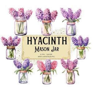 Hyacinth Mason Jar Flower Clipart, Purple Hyacinth Floral Clipart, Pink Hyacinth Valentines Wedding PNG, Hyacinth Bridal Shower Bride PNG
