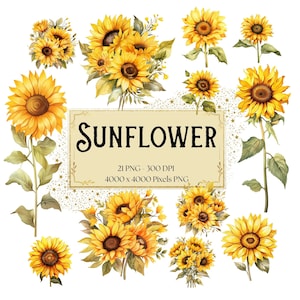 Tournesol Png Clipart, clipart floral aquarelle tournesol, tournesol Saint-Valentin mariage PNG, tournesol douche nuptiale mariée PNG Clipart