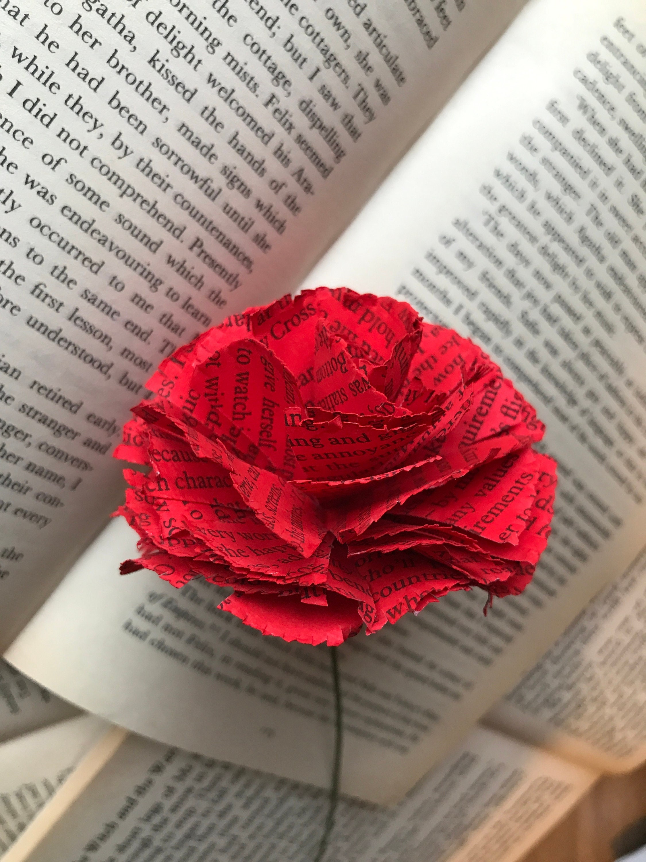 Paper Flower. Carnation. image