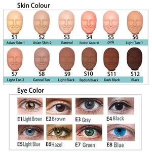 May include: A chart displaying various skin tones and eye colors. The skin tones range from light to dark, labeled with codes like S1 to S12. Eye colors include light brown, brown, gray, black, light blue, hazel, green, and blue, labeled E1 to E8.