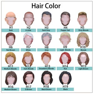 May include: A chart titled "Hair Color" displays 19 different hair color options. Each option is represented by a faceless head with a different hair color, ranging from bald to black. The chart includes labels such as "Red Brown" and "Strawberry Blonde".