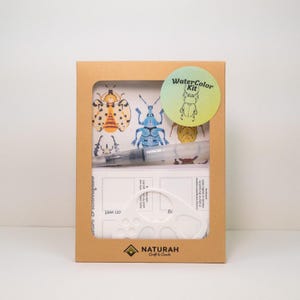 Käfer Aquarell Kit: 36 Farben, Pinsel, Karten - Arts & Crafts