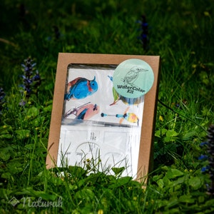 Vögel Aquarell Kit | Aquarell Kit, DIY Färbung Kit, Kunsthandwerk Geschenk, Painting Kit, Reise Kunst Paket, Postkarte, Vogel beobachten