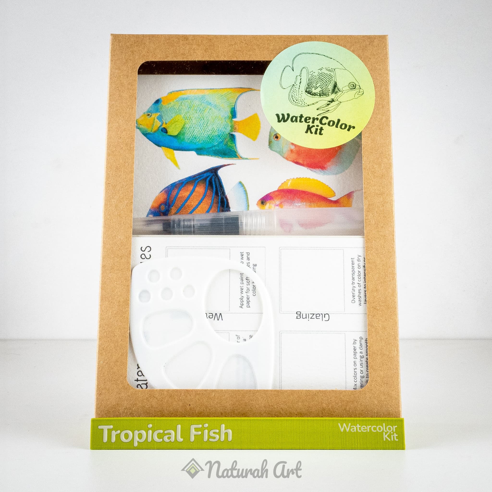 Tropical Fish Watercolor Kit: DIY Painting, Arts & Crafts Gift