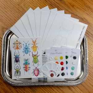 Kit de acuarela Beetles, paquete de manualidades, kit de arte todo en uno, kit de arte Beetles, acuarelas, kit de actividades STEAM