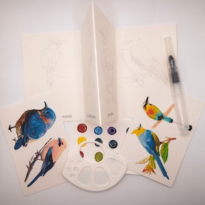 Puede incluir: Un conjunto de seis tarjetas de acuarela en blanco con diferentes ilustraciones de p&aacute;jaros. Las tarjetas son perfectas para pintar o colorear. El conjunto tambi&eacute;n incluye una peque&ntilde;a paleta de pintura de pl&aacute;stico con seis pocillos.