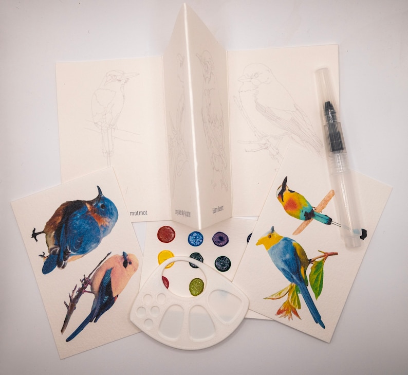 Puede incluir: Un conjunto de seis tarjetas de acuarela en blanco con diferentes ilustraciones de p&aacute;jaros. Las tarjetas son perfectas para pintar o colorear. El conjunto tambi&eacute;n incluye una peque&ntilde;a paleta de pintura de pl&aacute;stico con seis pocillos.