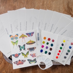 Butterfly Moth WaterColor Kit | Coloring kit, DIY coloring kit, Arts & Craft gift, Painting Kit, Travel art package, Postcard, Butterfly