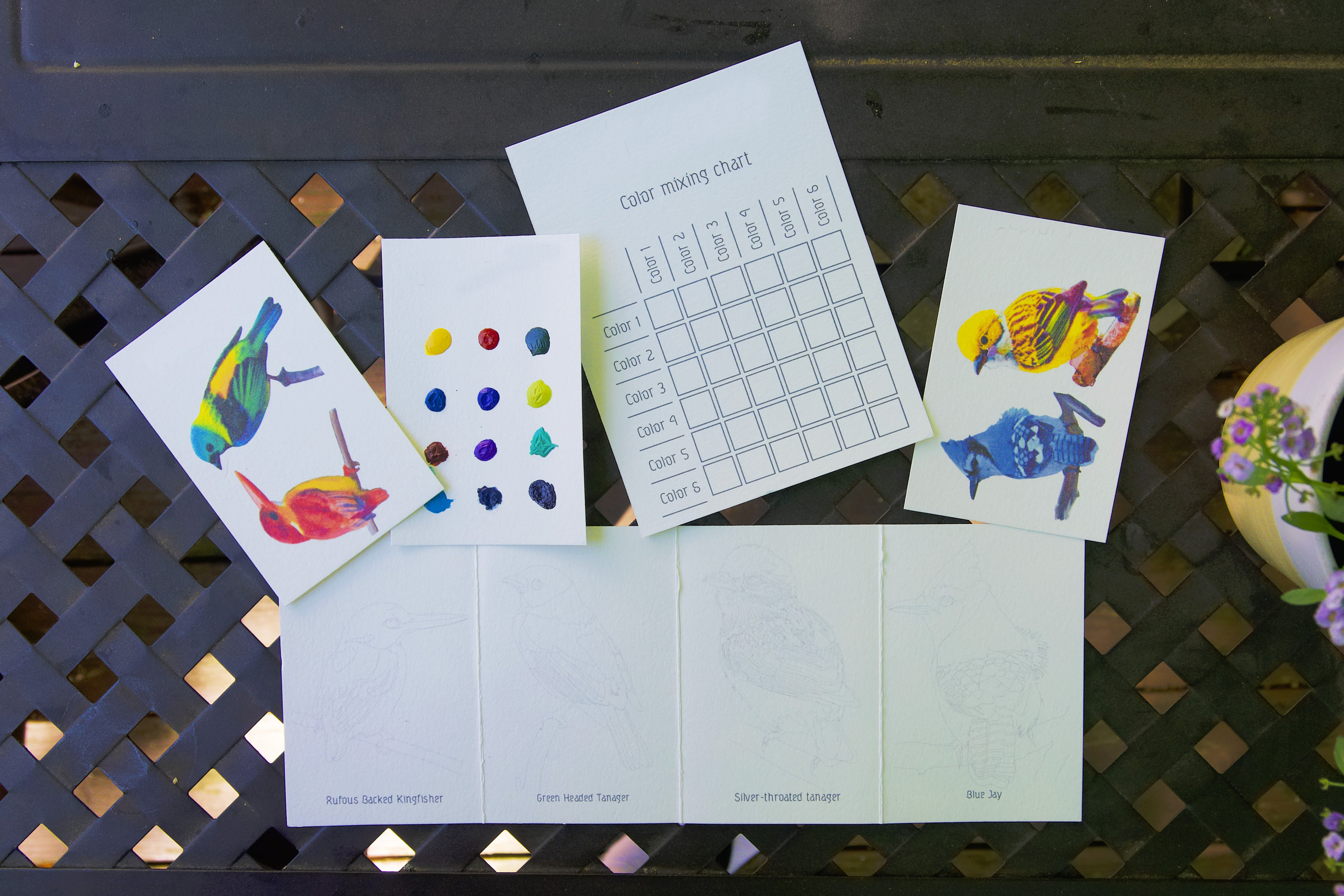 Watercolor Coloring Kit Paint Along Activity Book With Quaint