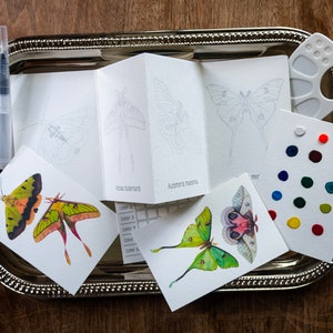 Mini-aquarelset | Aquarelset vlinders en motten | aquarelverf, aquarelset, doe-het-zelf aquarel, reizende verfset, kunstset