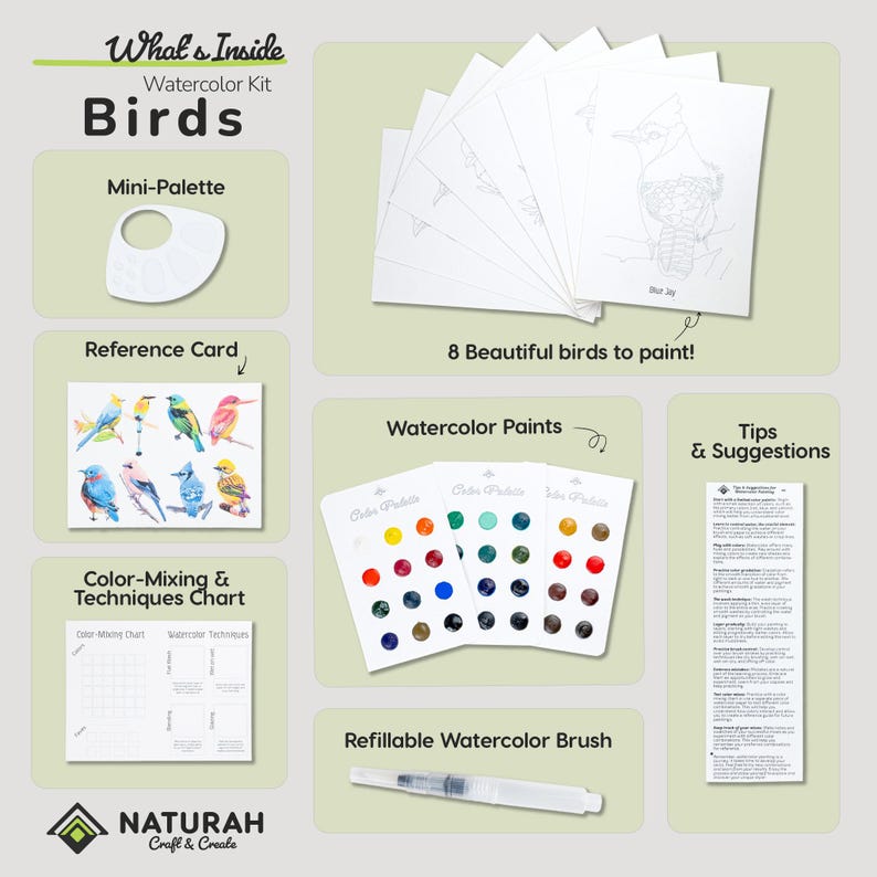 Fågelakvarellkit: Gör-det-själv-målningsprojekt, resekonstpaket, allt-i-ett-kit, fågelälskare Full Watercolor Kit