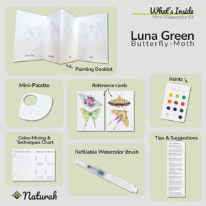 Butterfly & Moth Watercolor Kit: Mini Travel Art Set for Beginners