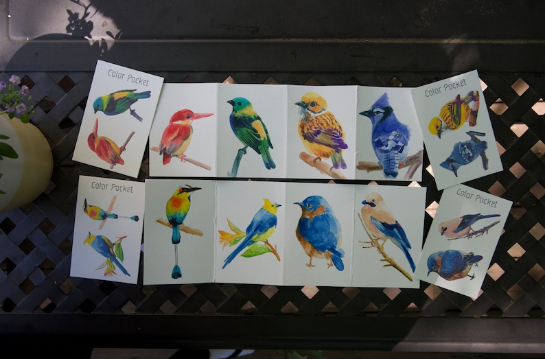 Puede incluir: Un conjunto de 10 ilustraciones de p&aacute;jaros en acuarela sobre tarjetas blancas. Cada tarjeta presenta un p&aacute;jaro diferente con colores vibrantes, incluyendo azul, verde, amarillo, rojo y naranja. Las tarjetas est&aacute;n etiquetadas con "Color Pocket" en la esquina superior derecha.