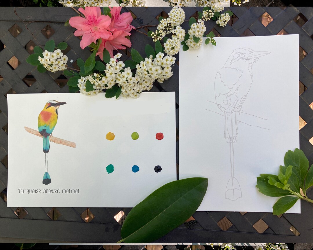 Bird Watercolor Kit Individuals Watercolor Painting Kit, Watercolor Kit, DIY Watercolor