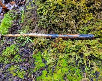 Puede incluir: Una varita de madera hecha a mano con un mango oscuro y texturizado y una punta más clara y afilada. La varita está sobre un lecho de musgo verde vibrante y tierra, lo que sugiere una estética natural y terrosa. El diseño sugiere un tema mágico o de fantasía.