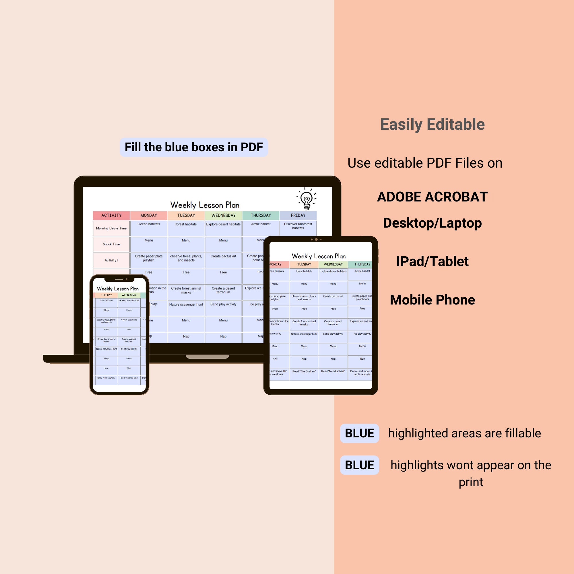 Editable Weekly Lesson Plan Template: Printable Teacher Planner (PDF ...