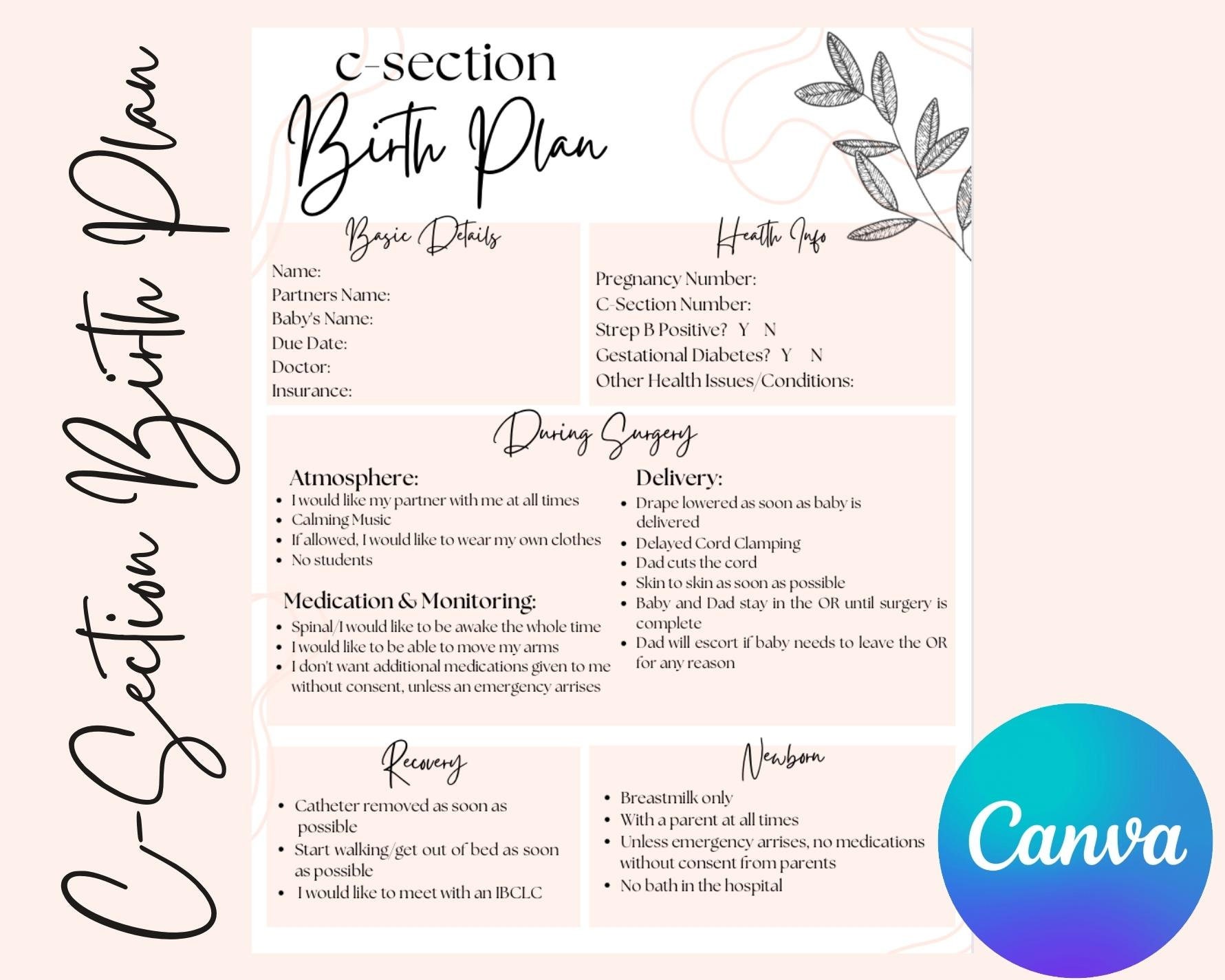 C-section Birth Plan Template C-section Birth Cesarean Birth Plan ...