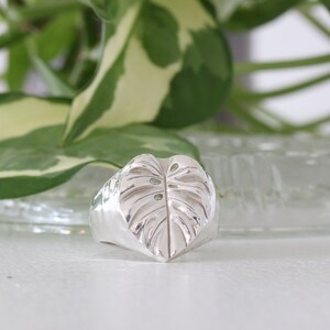 A monstera deliciosa leaf on a wide signet style ring. Unisex/ gender neutral plant ring