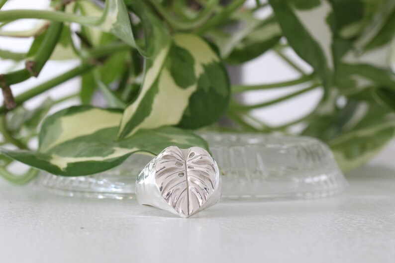 A monstera deliciosa leaf on a wide signet style ring. Unisex/ gender neutral plant ring