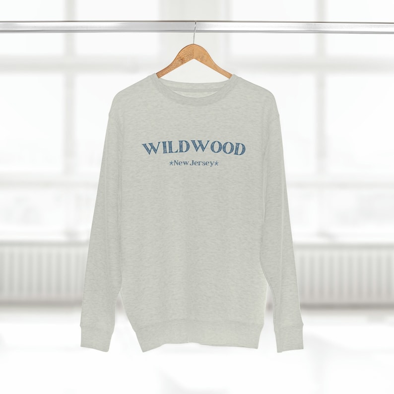 May include: A light gray sweatshirt with the word "WILDWOOD" in blue lettering, with "*New Jersey*" below. The sweatshirt is hanging on a wooden hanger.