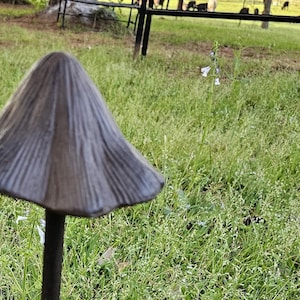 Puede incluir: Una decoración de jardín de metal negro en forma de hongo con una tapa ancha y plana y un tallo largo y delgado. El hongo está de pie en un área cubierta de hierba.