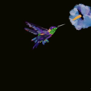 Hummingbird in flight
