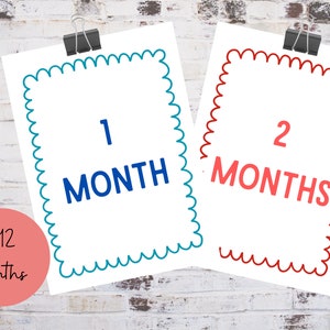 Multi Colored Baby Monthly Milestone Digital Download