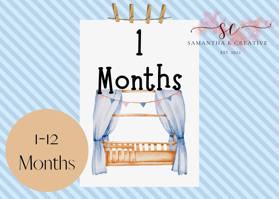 Vintage Blue Baby Monthly Milestone Cards *digital Download* - Etsy
