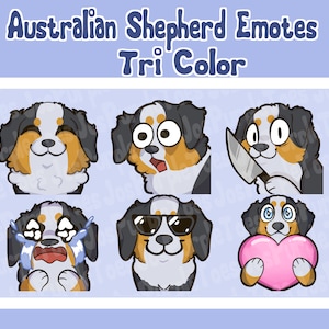 Australian shepherd puppy dog emotes tricolor for twitch YouTube stream and discord