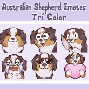 Australian shepherd dog red tricolor emotes for twitch YouTube discord streamers