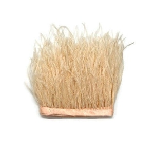 1 Yard - Pale Peach Ostrich Fringe Feather Trim Craft Supply | Millinery | Wedding | Dress Making | Costume Design| Party | Bulk