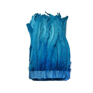 1/2 Yard -  Bright Blue Turquoise Dyed Coque Tail Long Feather Trim | Costume Making | Carnival | Mari Gras | Craft Supply | Bulk