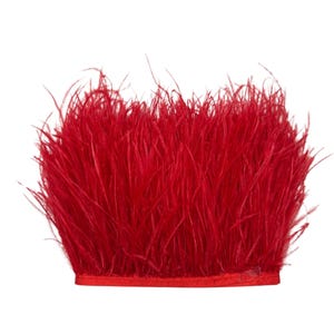 May include: Red ostrich feather trim with a red fabric backing. The feather trim is approximately 1 inch wide.