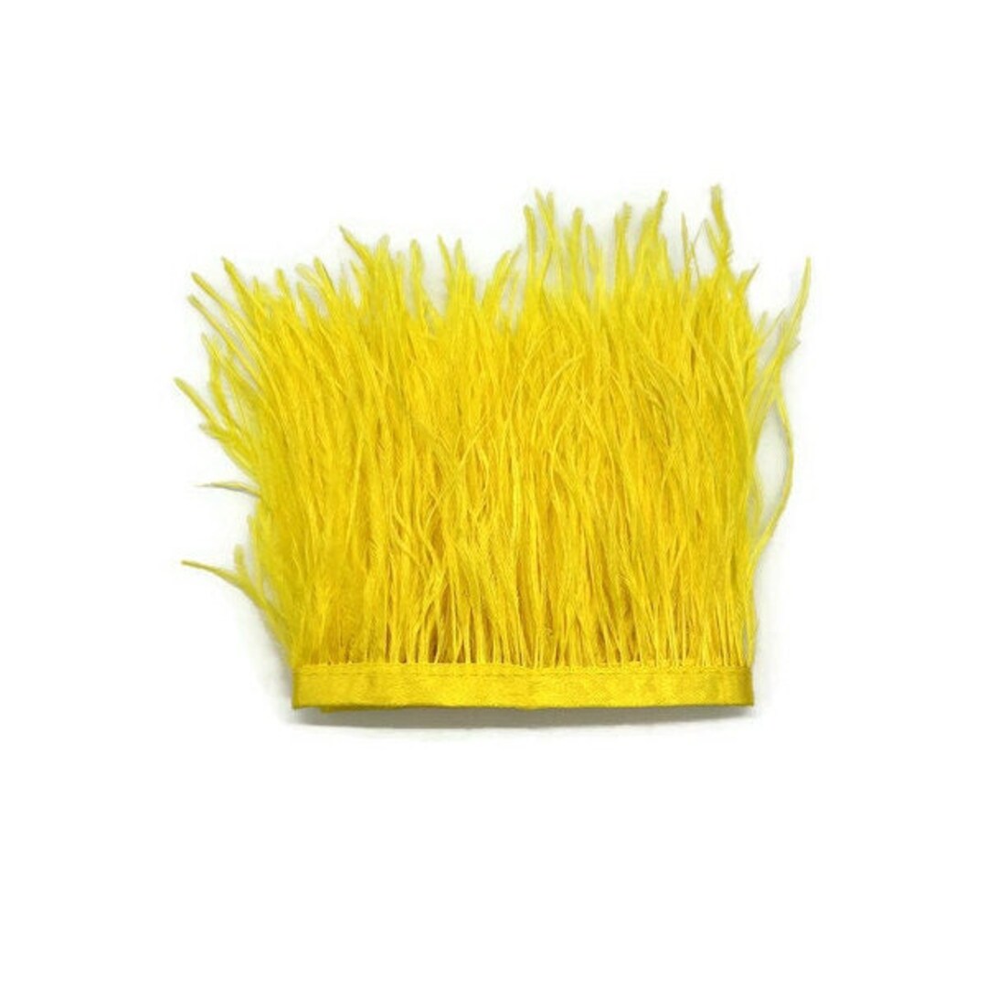 Ostrich Feathers, 10 Pieces 14-17 Yellow Ostrich Dyed Drab Large