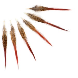 10 Pieces - 5-8 inch Natural Pheasant Red Tip Feathers