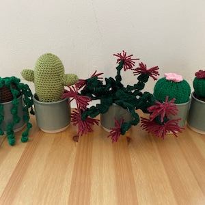 Crochet Cacti