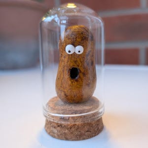 May include: A novelty potato figure with googly eyes and an open mouth, displayed inside a clear glass dome. The brown potato sits on a cork base. A quirky decorative item, presented in a glass cloche, adding a touch of humour.