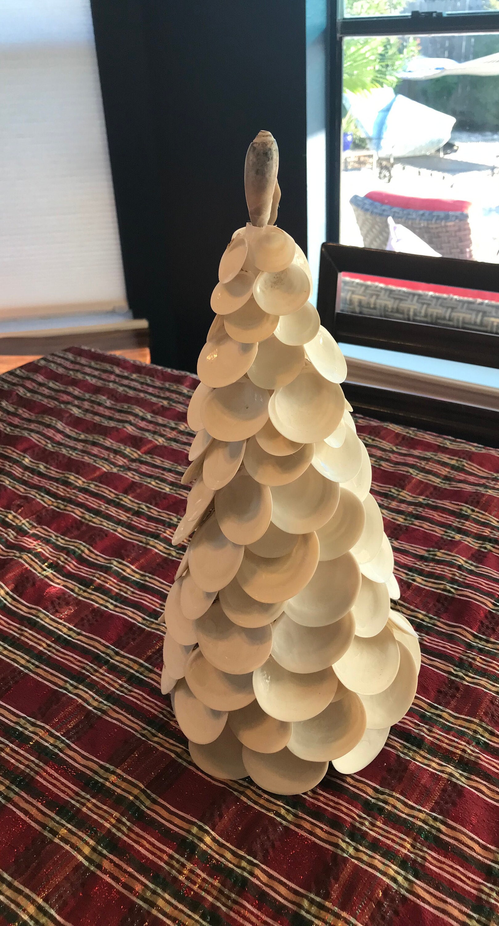 Sea Shell Christmas Tree From Disc Disinia Shells Recovered From the N ...
